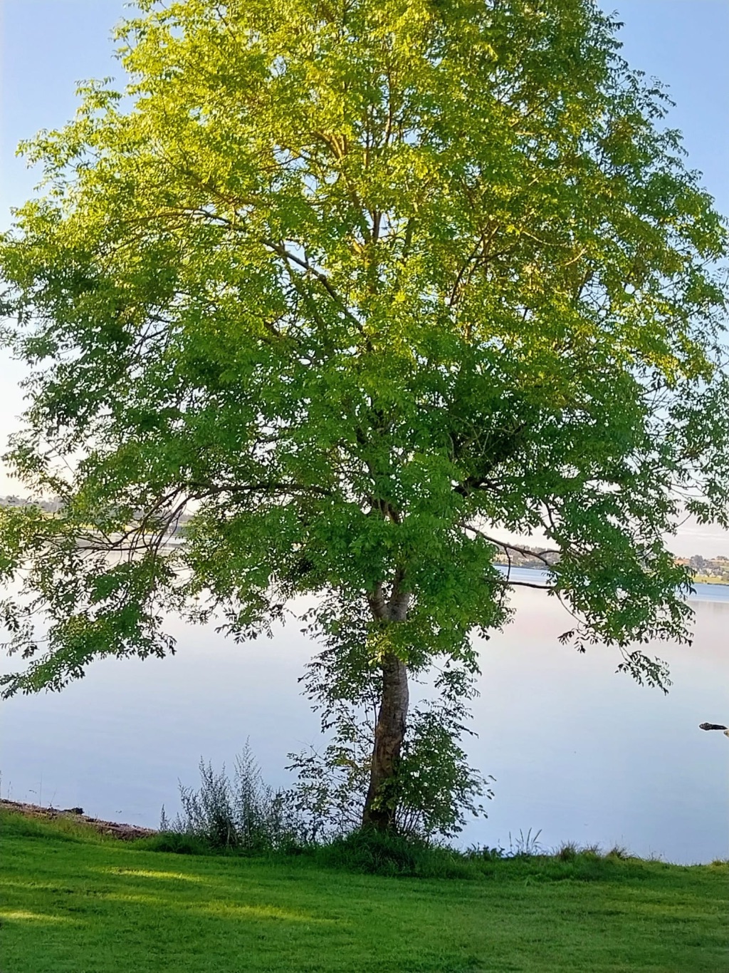 Wie „Mein Bad Bocklet“ wächst
