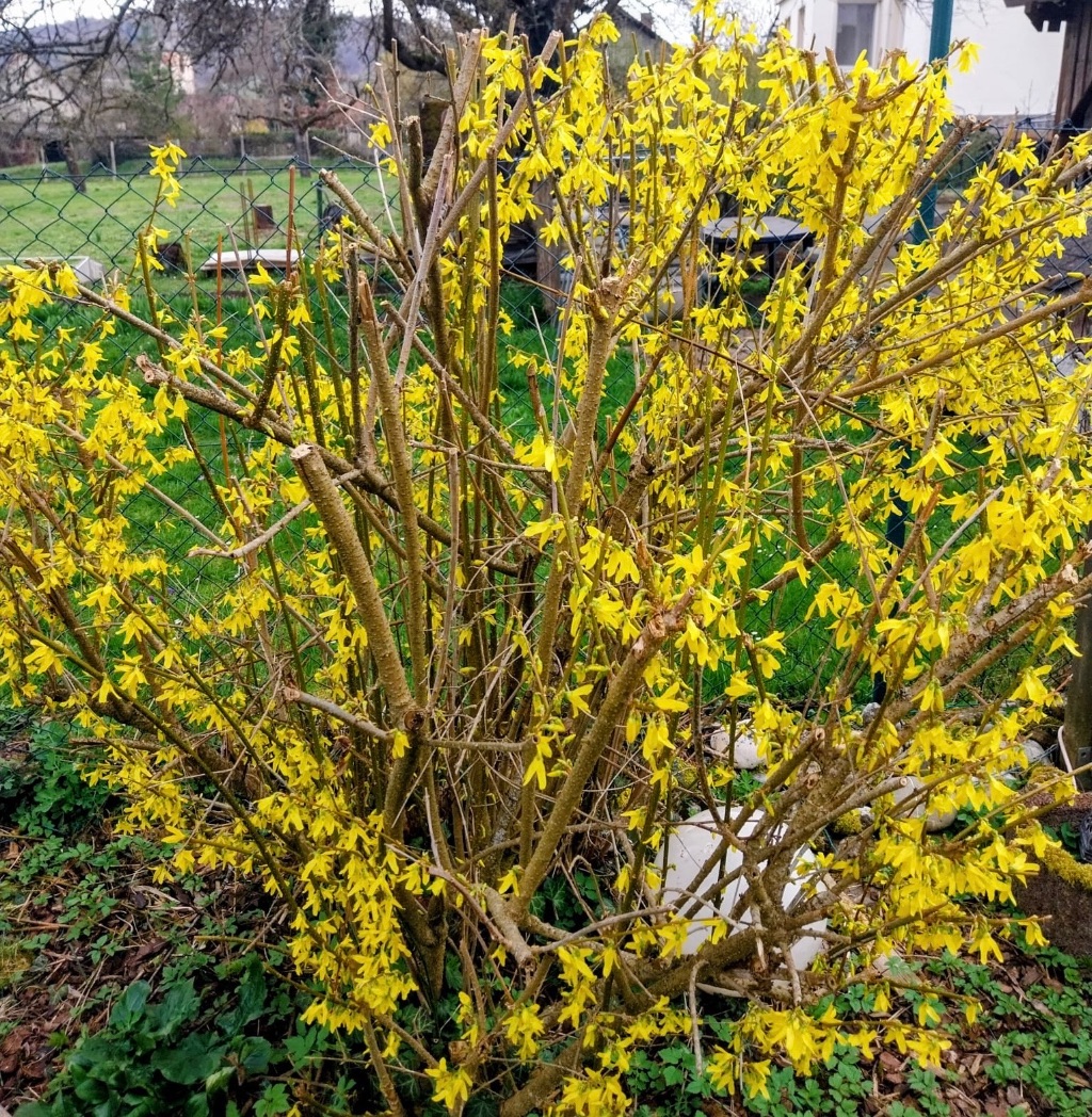 Dein Jahresbegleiter