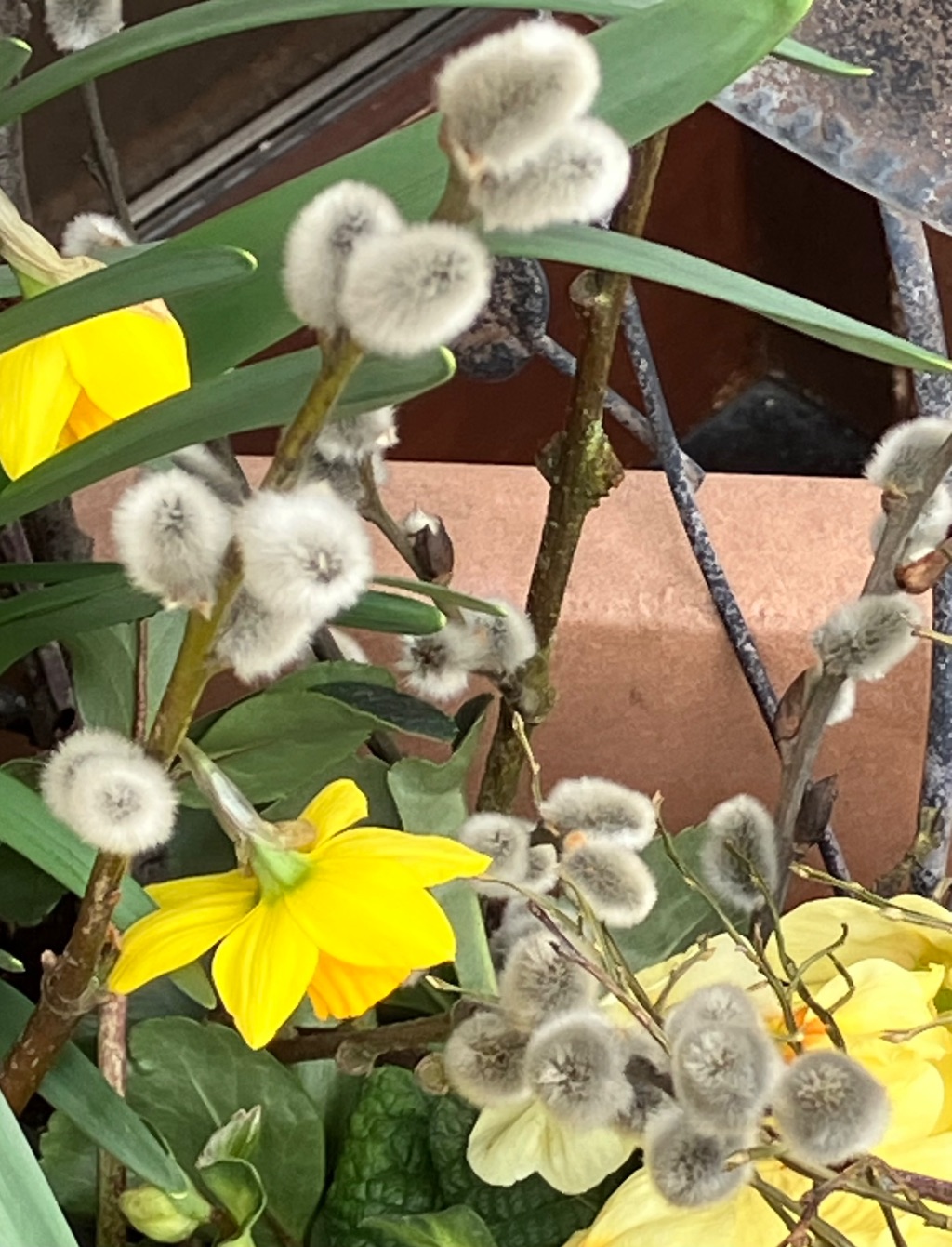 Dein Jahresbegleiter