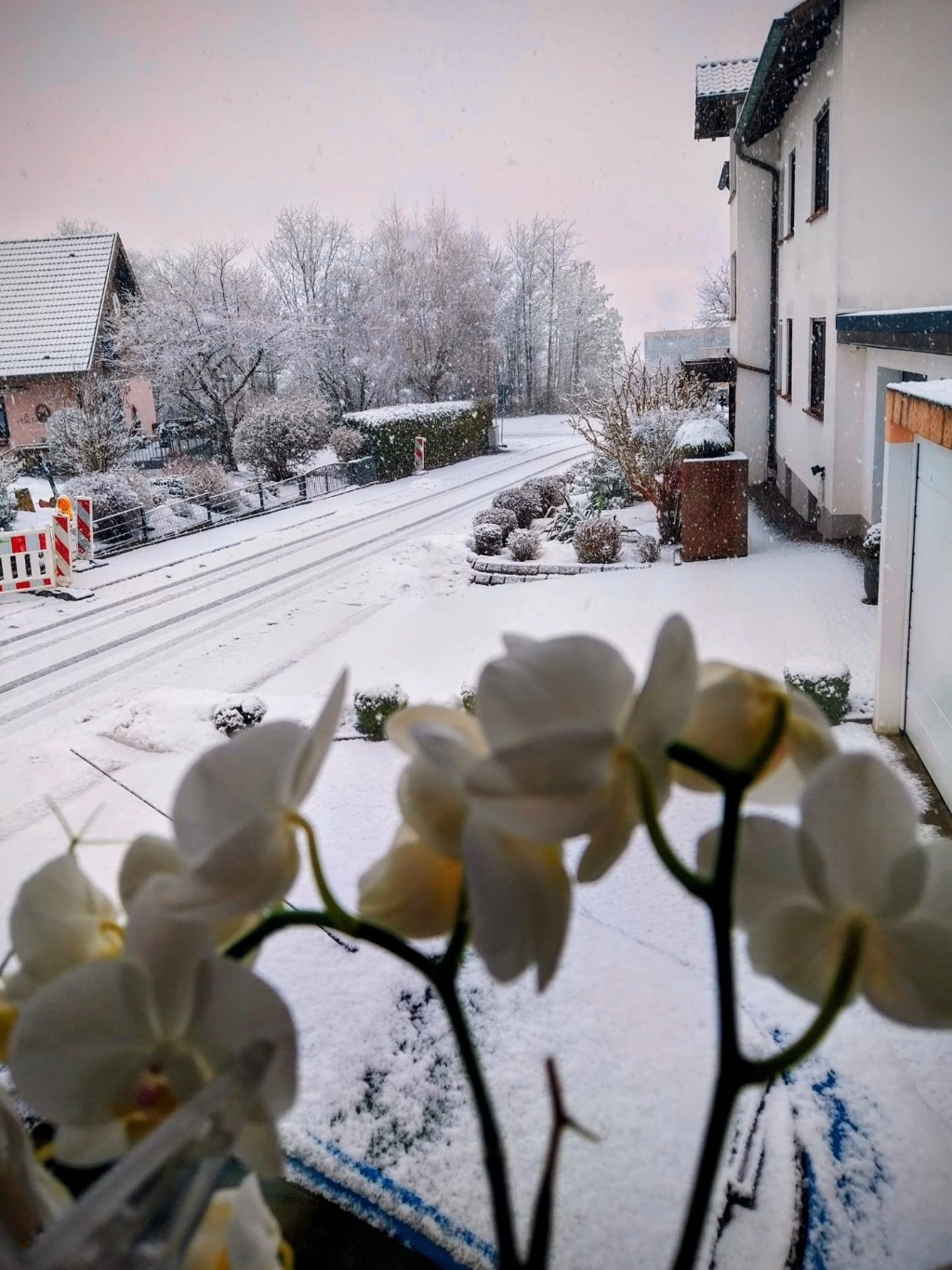 Dein Jahresbegleiter