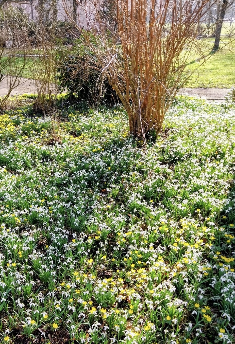 Dein Jahresbegleiter